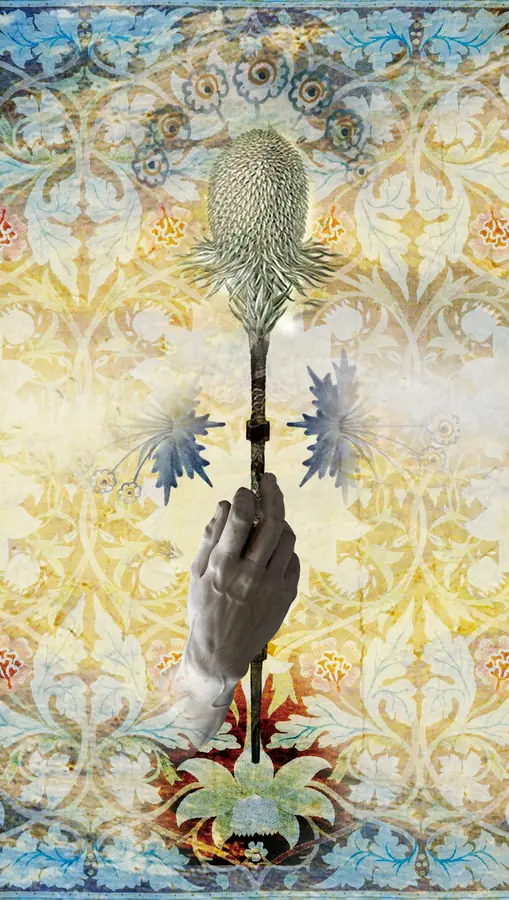 Ace of Wands