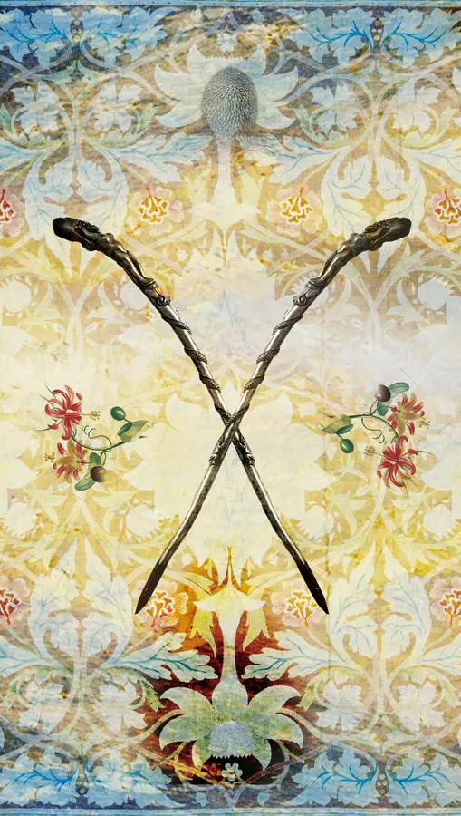 Two of Wands