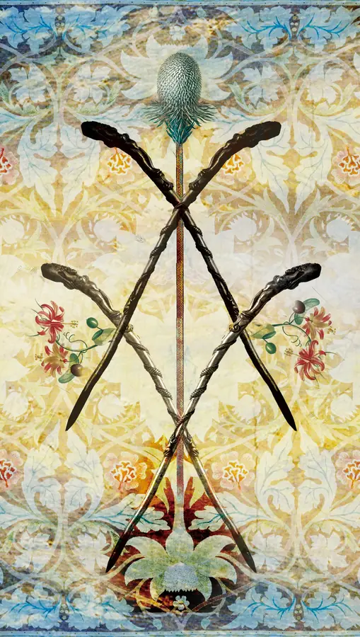 Five of Wands